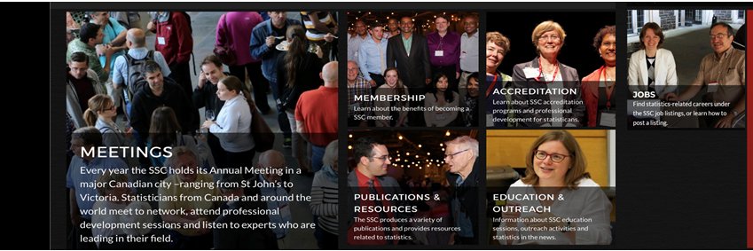 Stat Society / Société Stat du Canada banner