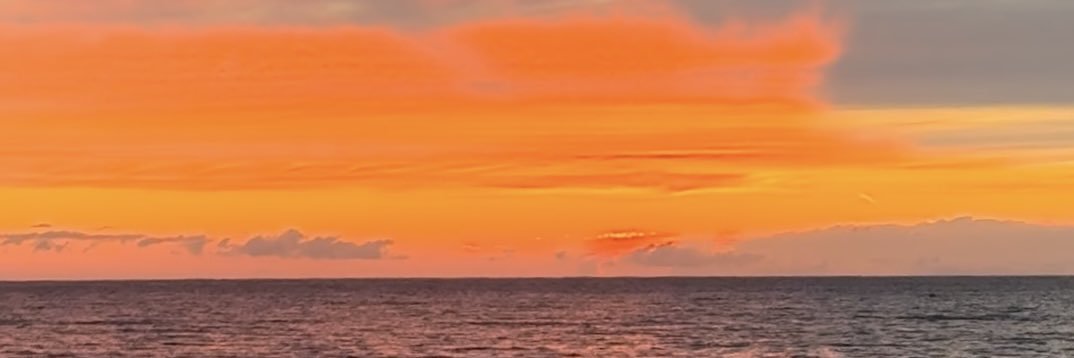 savellidavia's profile banner image