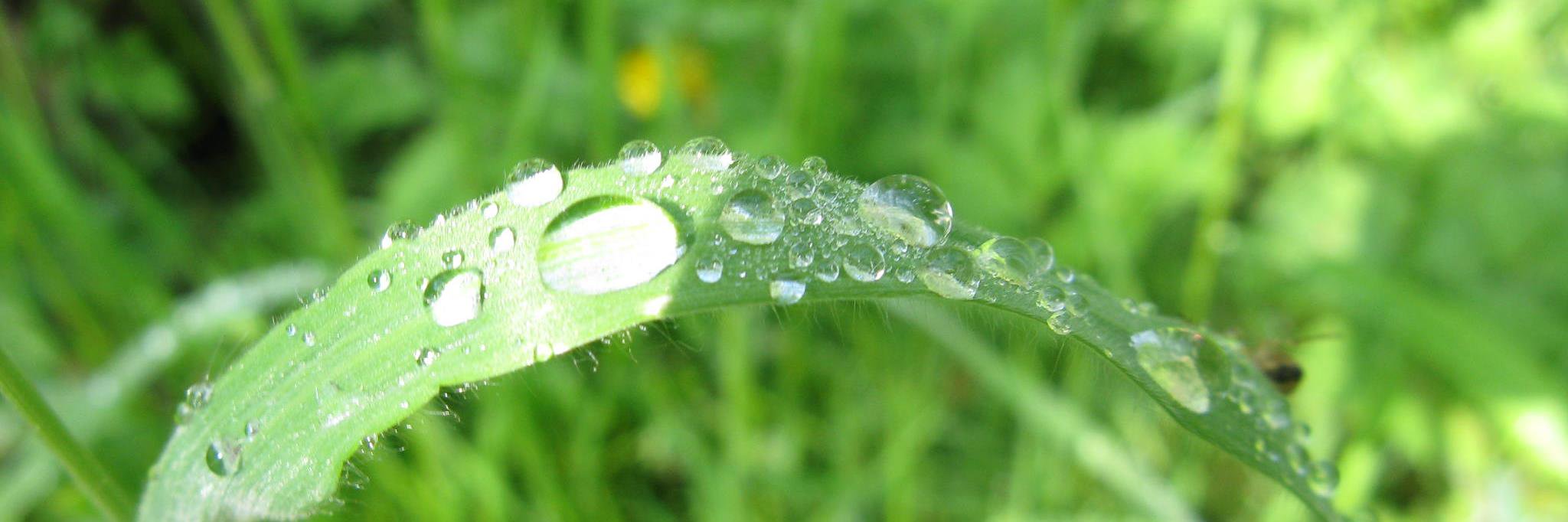climate_kate's profile banner image