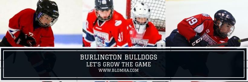 BlomhaOnt's profile banner image