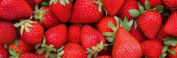 RedAntoid's profile banner image