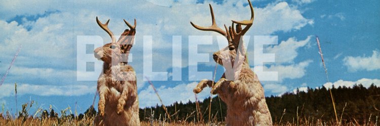 orangejackalope's profile banner image