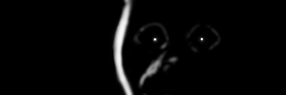 NaughtyZombie's profile banner image