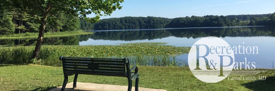 ccrecpark's profile banner image