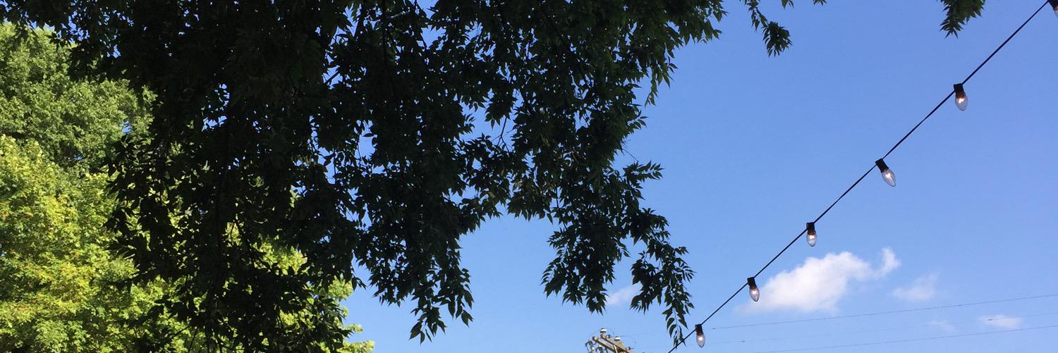 bulzomol's profile banner image