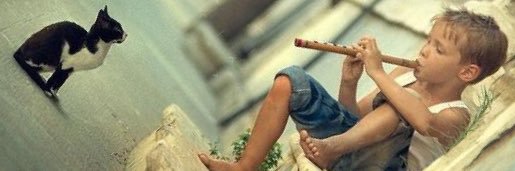 cesardelcano_es's profile banner image