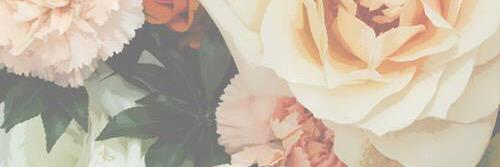 CommonGirlBrain's profile banner image
