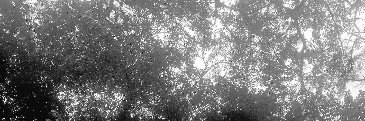 beckcerqueira's profile banner image