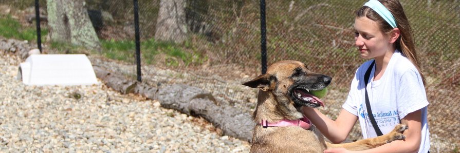 CA_AnimalAid's profile banner image