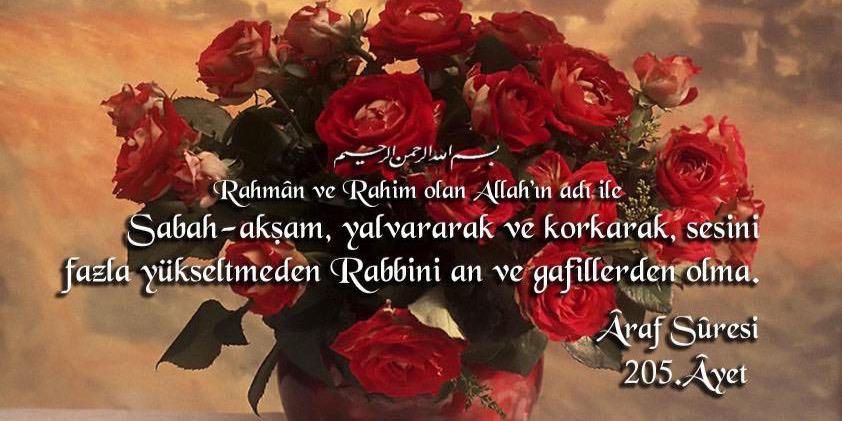 ilim_irade's profile banner image
