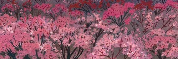 Eilimmy's profile banner image
