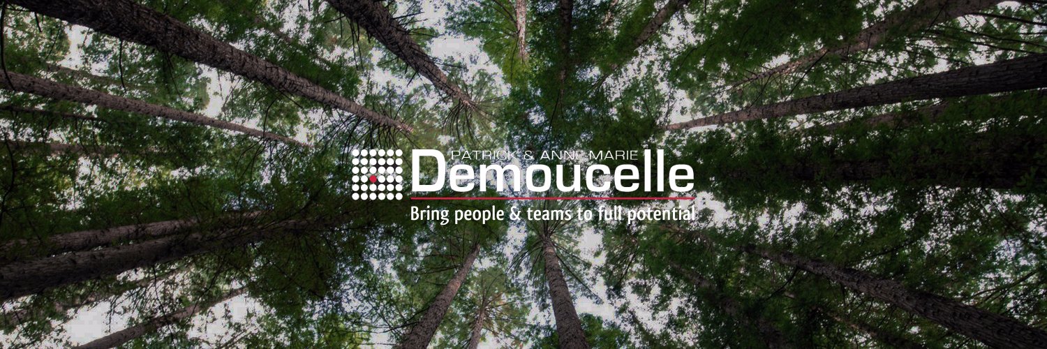 Demoucelle's profile banner image
