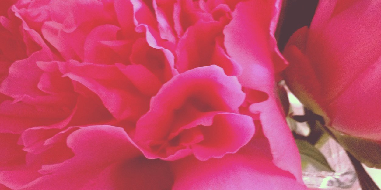 carrielsanders's profile banner image