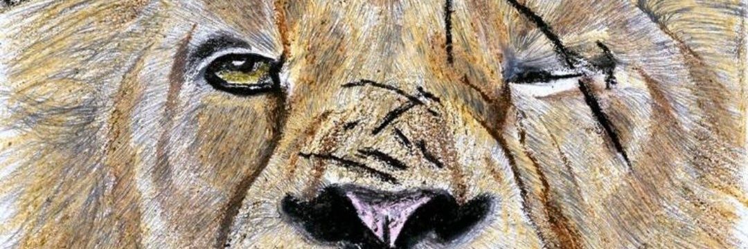 StronglyPoetic's profile banner image