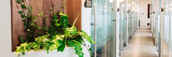 liveprimary Profile Banner