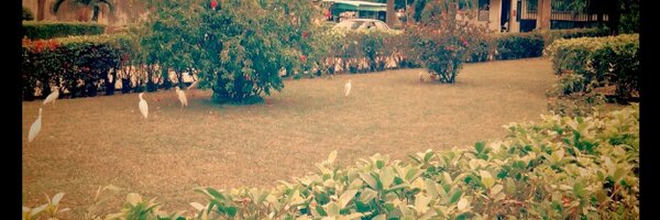 bakintunde Profile Banner