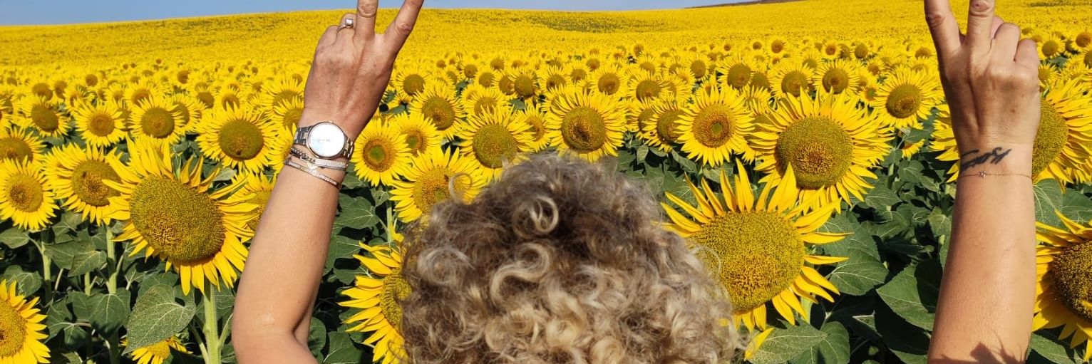 DiskayaGl's profile banner image