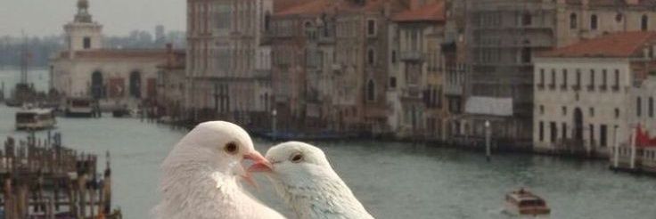 elifceuz's profile banner image