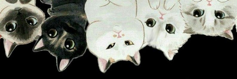 pg_ilpg's profile banner image