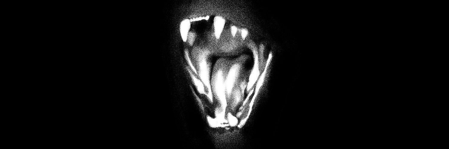 llewellynillus's profile banner image