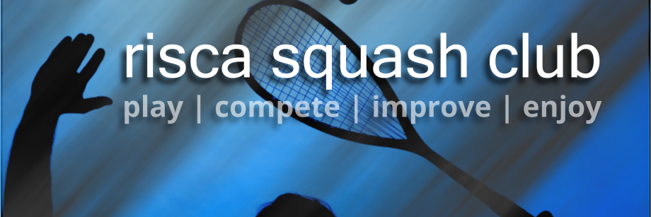RiscaSRC's profile banner image