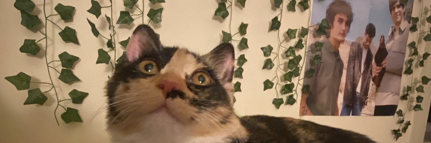 brieggna's profile banner image