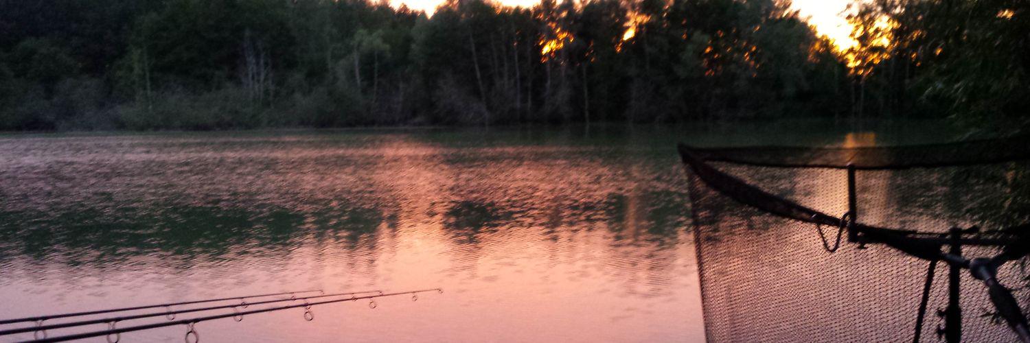 thecarpvader1's profile banner image