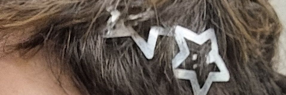 urso_spzo195's profile banner image