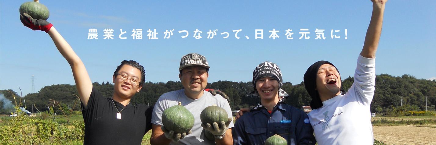 noufuku's profile banner image