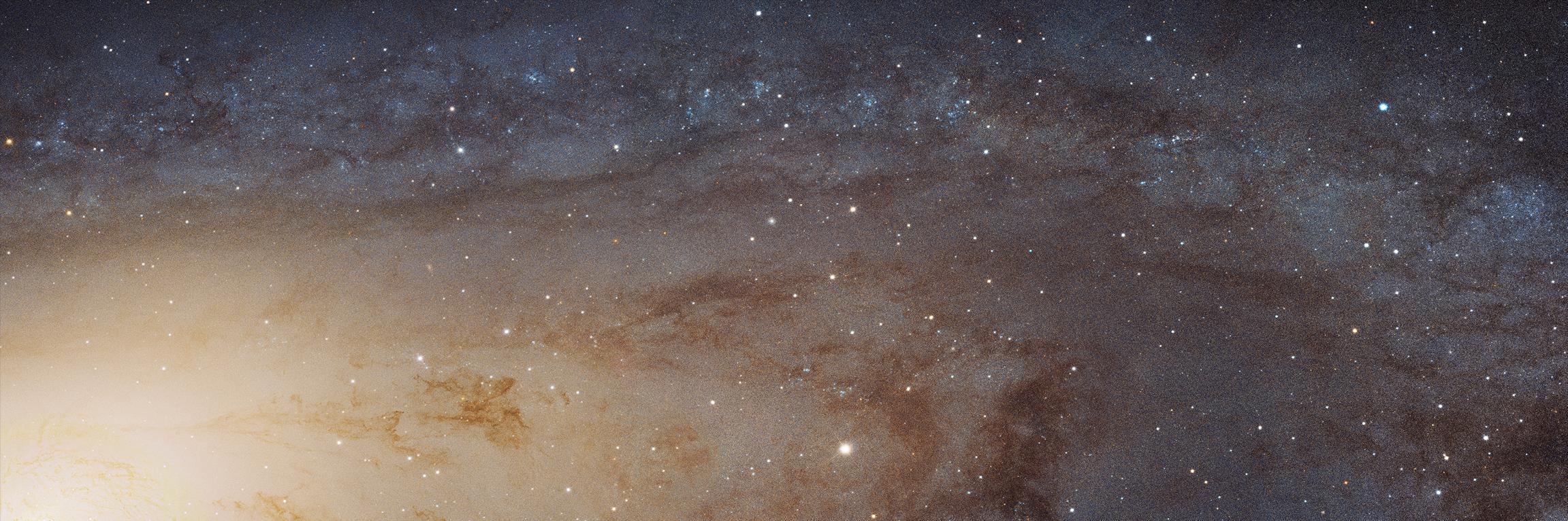 terrapodcast's profile banner image