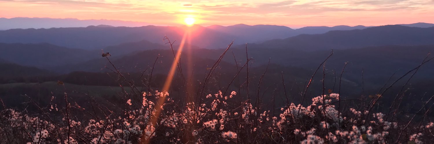 nattyjesuss's profile banner image