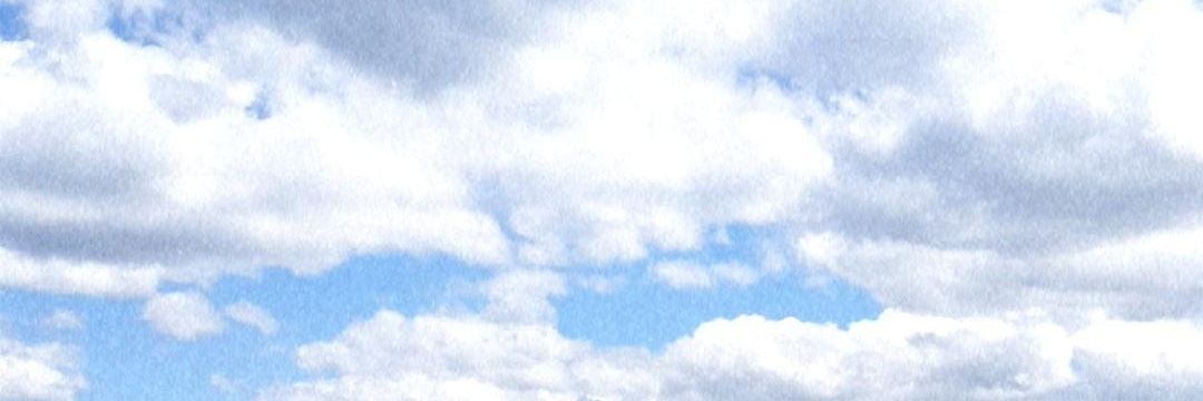 teree_rodriguez's profile banner image