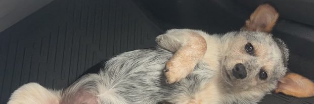 trob15_'s profile banner image