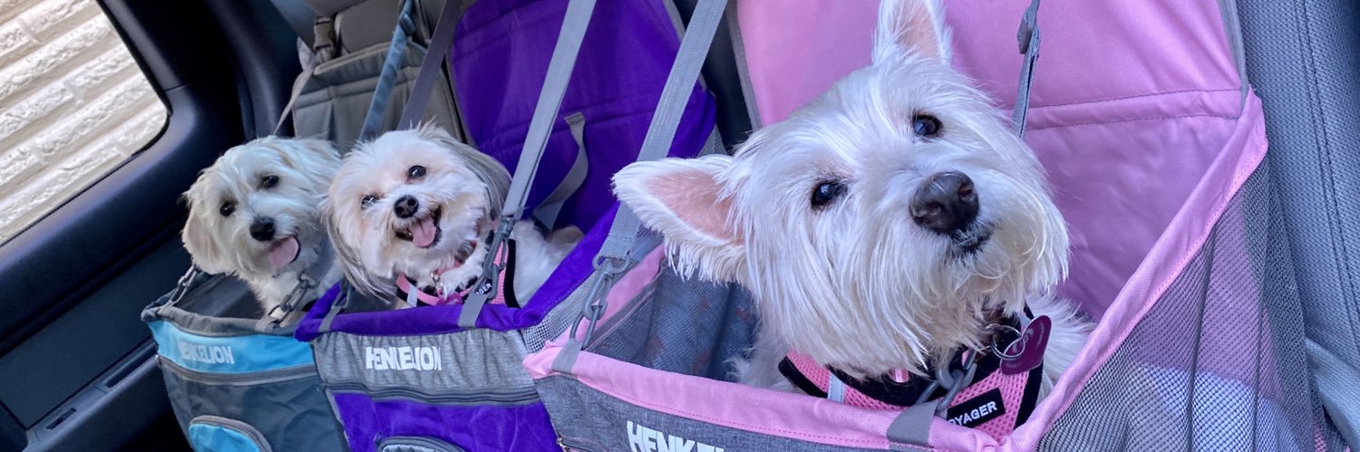 Ginger_Bon_'s profile banner image