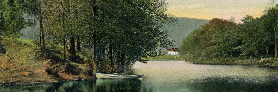 Stephen M. Bauer banner