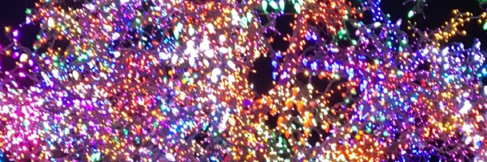 Ms_KenzieMota's profile banner image