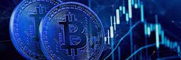 cryptobuddy91 Profile Banner
