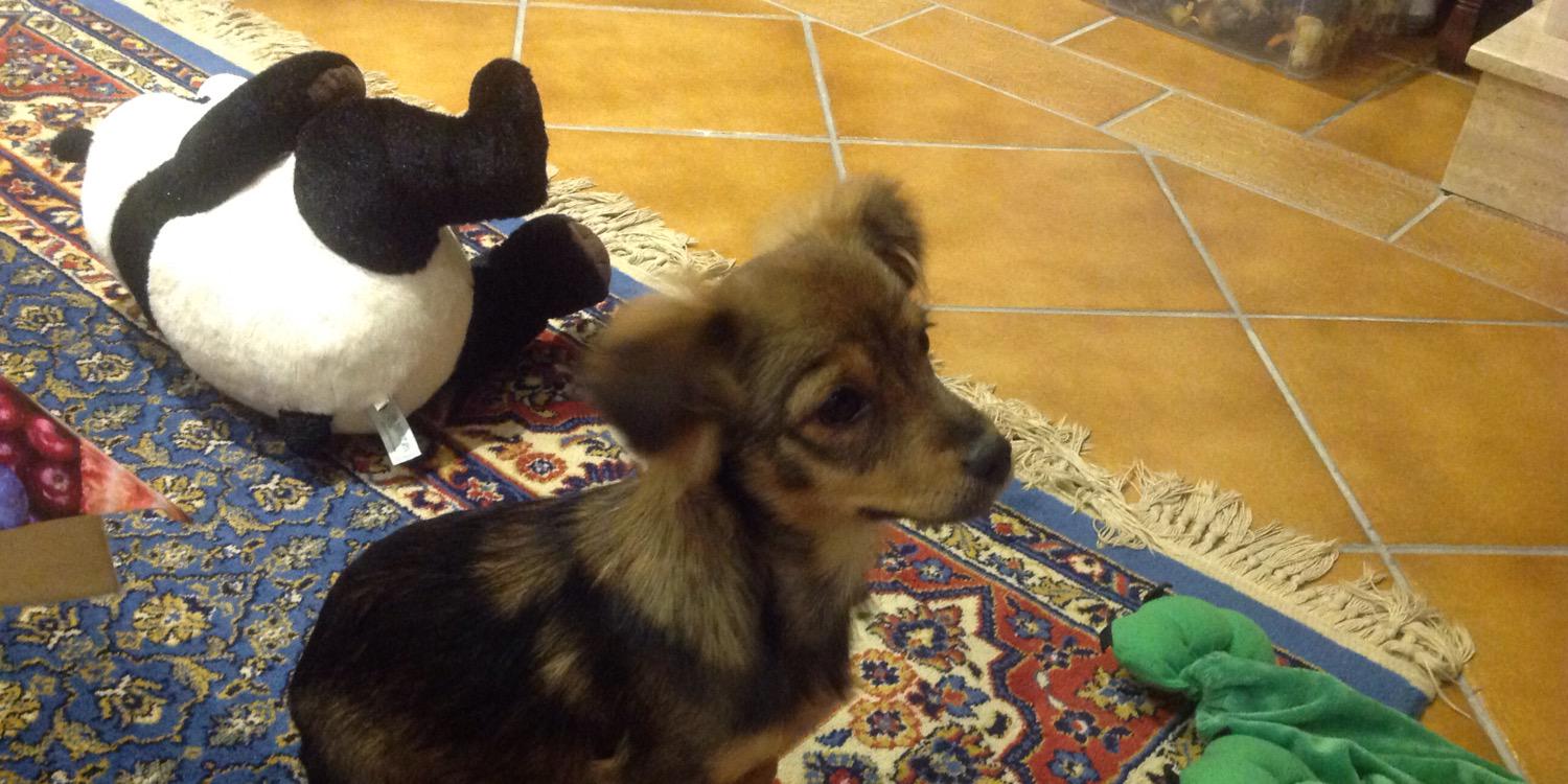 Ciencia y paciencia banner