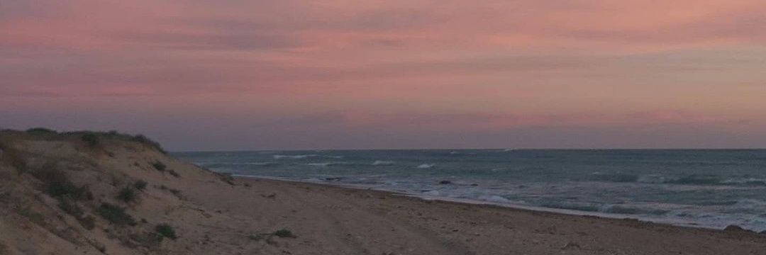 elisabet sánchez banner