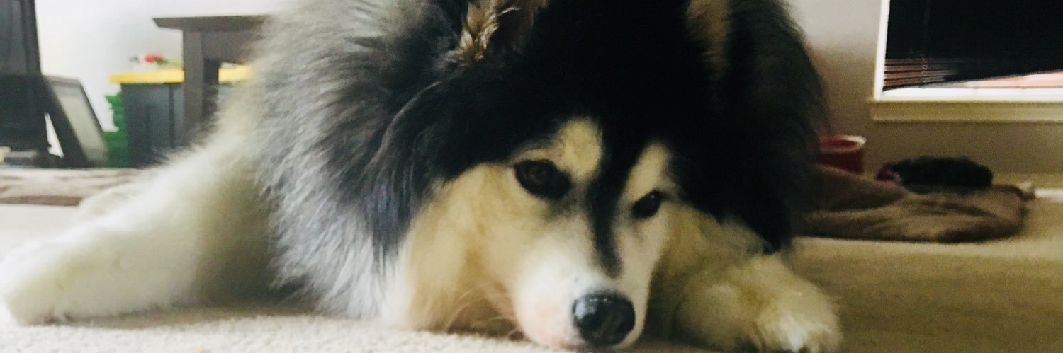 cherrypopp11's profile banner image