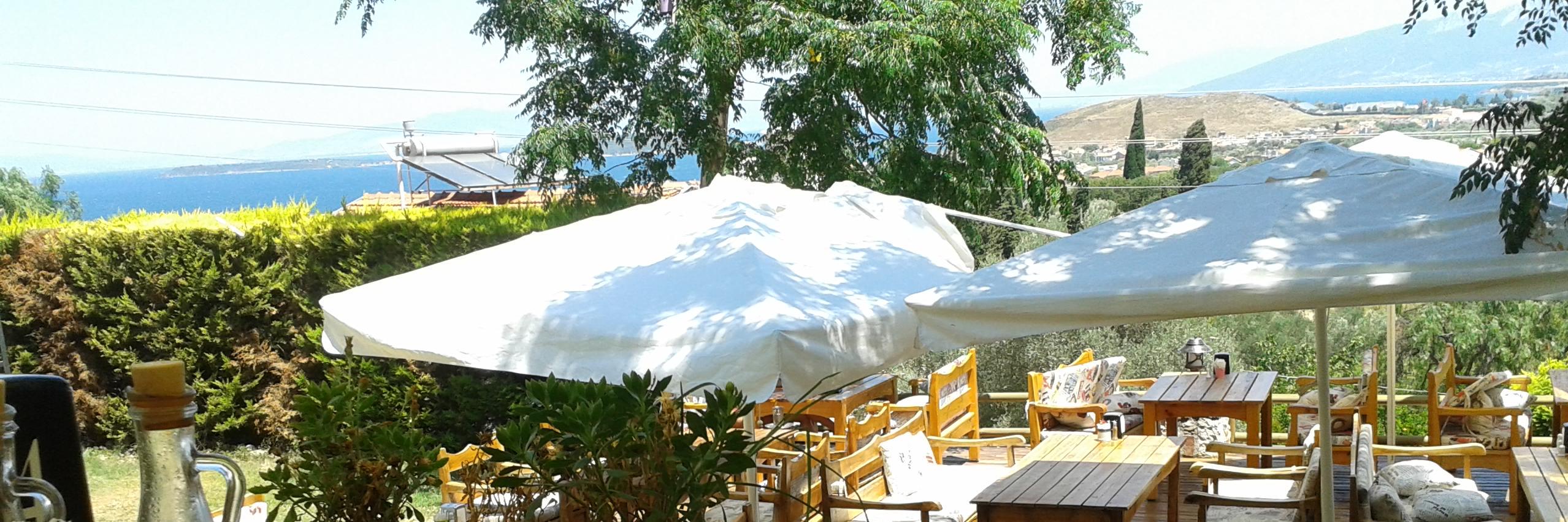 NFilizAtalay's profile banner image
