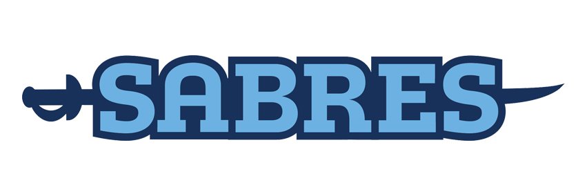 SCS Sabres banner