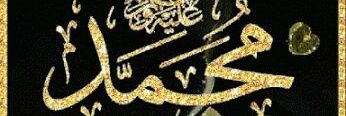 elhazzaz67's profile banner image