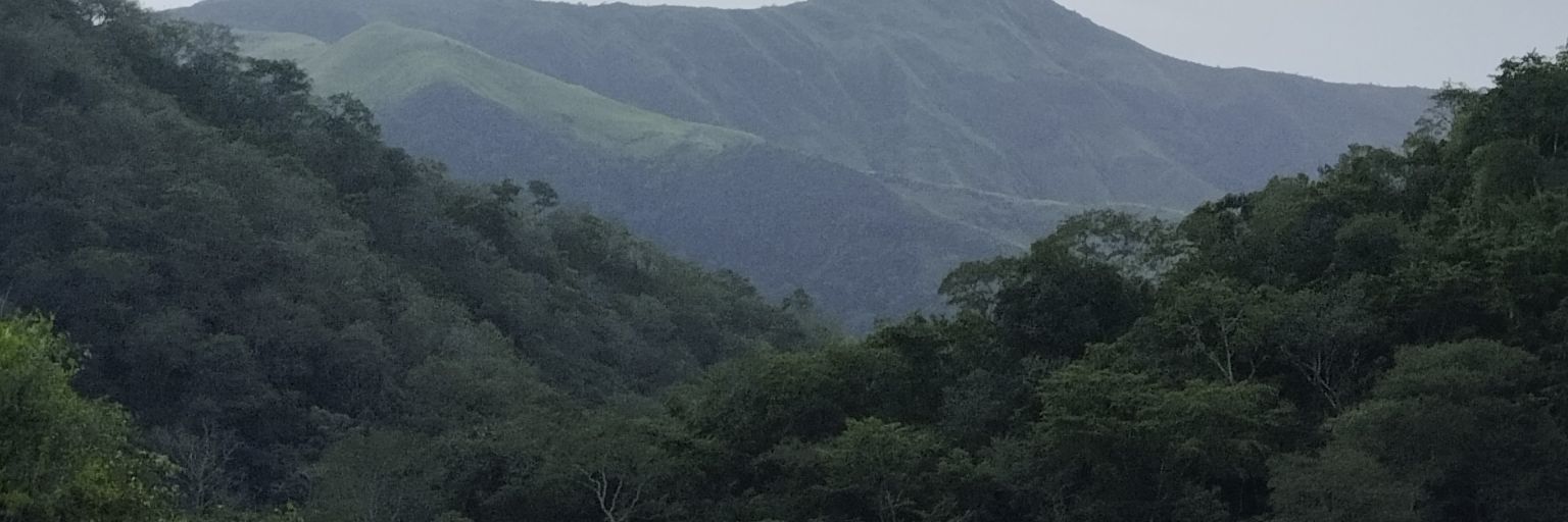 camuy banner