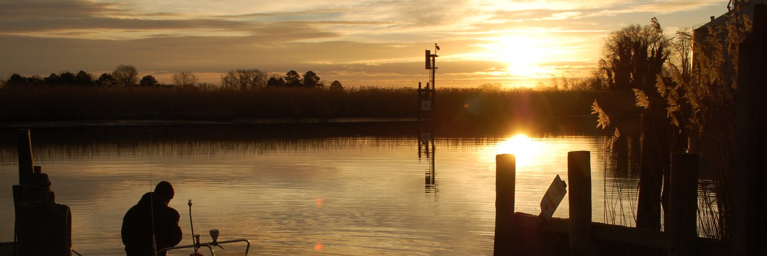 Kenny Fletcher banner
