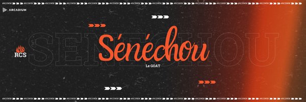 Senechou_LoL Profile Banner