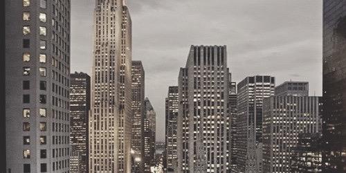 carterhbmsgdr's profile banner image