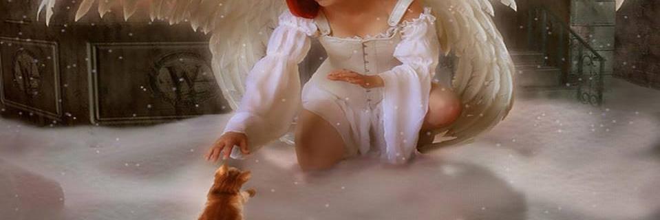 FeralAngels's profile banner image