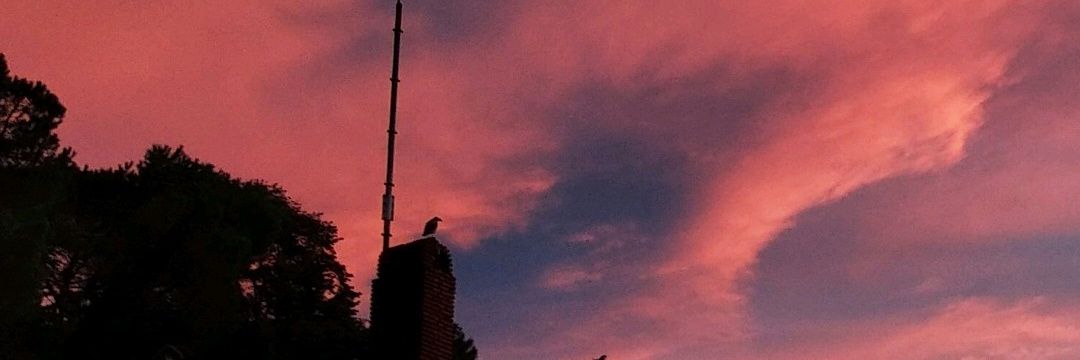 deamonbttl's profile banner image