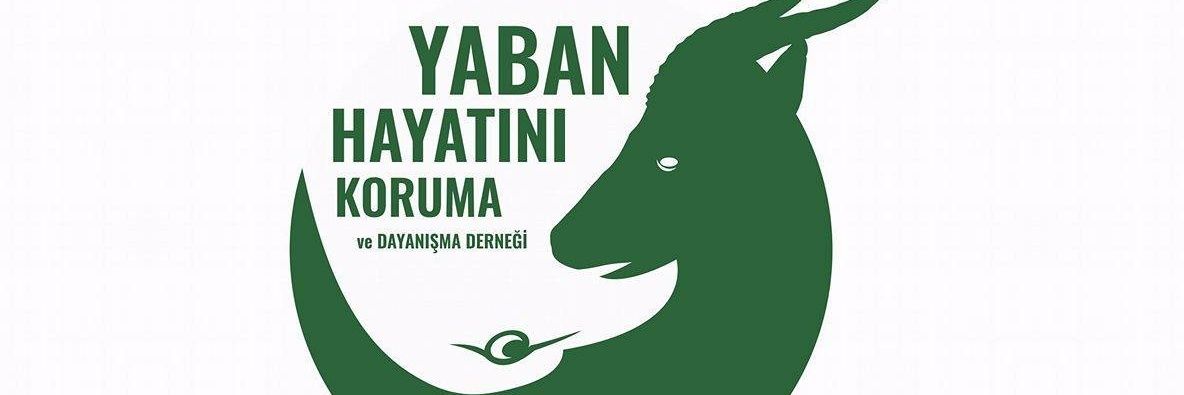 ozer_mustafa's profile banner image